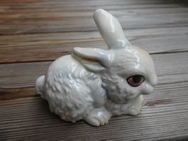 Hase markiert Goebel W Germany