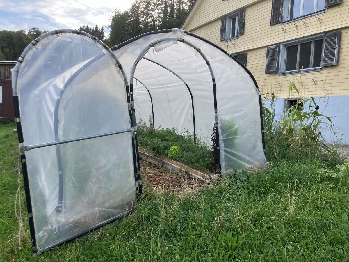 Gartenhäuser & Gewächshäuser: Gewächshaus Tunnel – Gebraucht aus Menznau von Dandyn 4