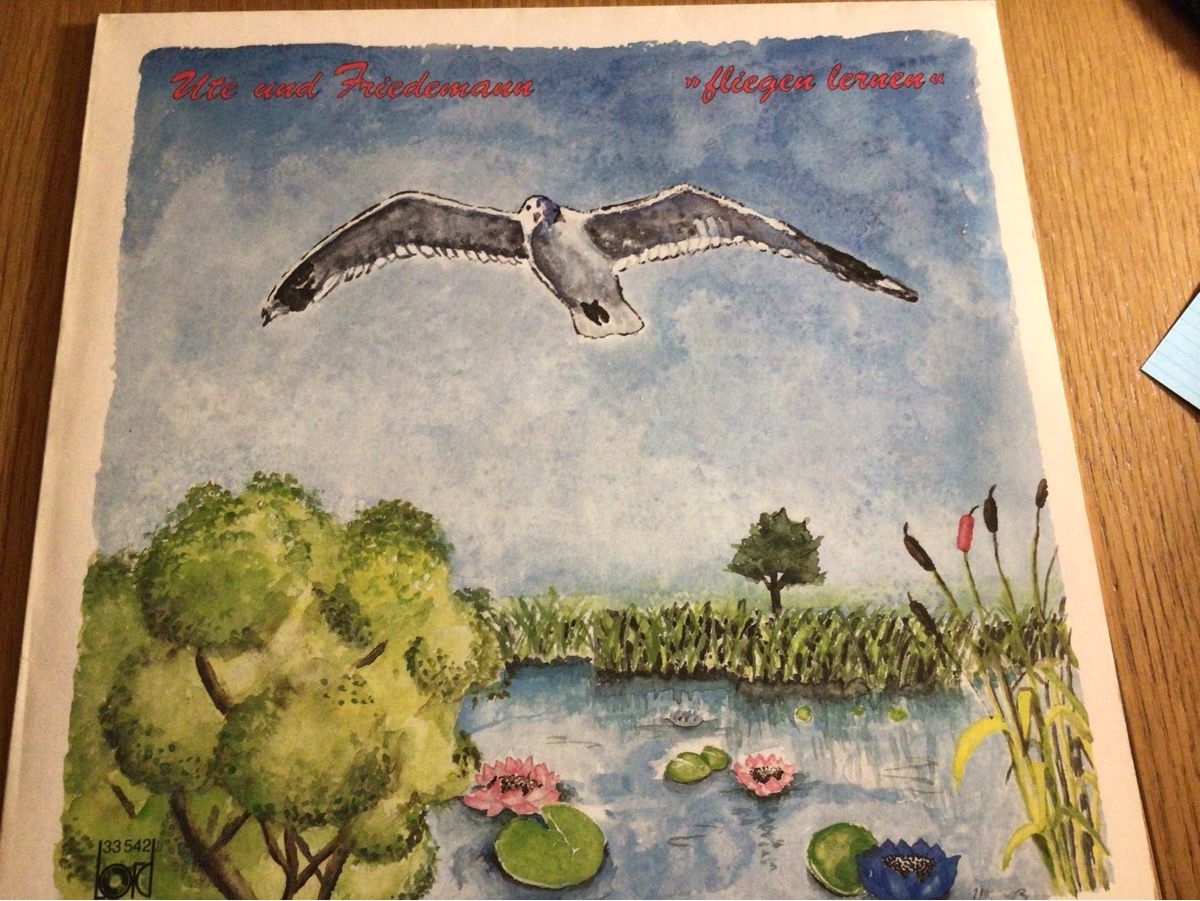 Dischi in vinile: Ute & Friedemann "Fliegen lernen" LP 1984 – Usato da Steinach venduto da Quarkie