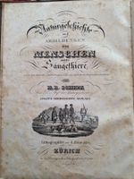 Naturgeschichte Abbildung. Menschen und der Säugethiere 1840