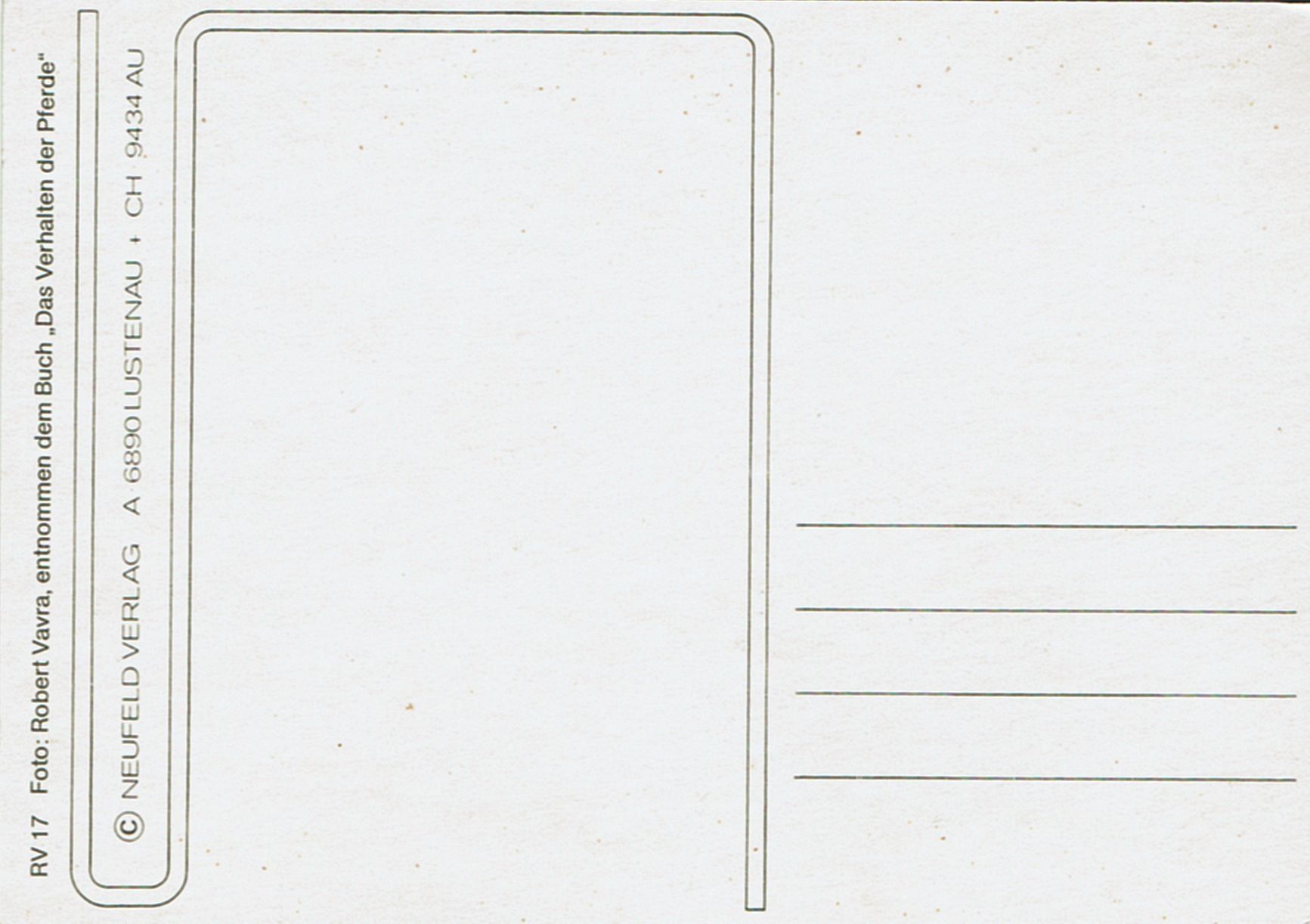 Cartoline postali: Postkarte Wildpferde – Nuovo (secondo la descrizione) da Rüti ZH venduto da Prostias 1
