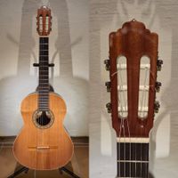 Akustik Gitarre Almansa 401