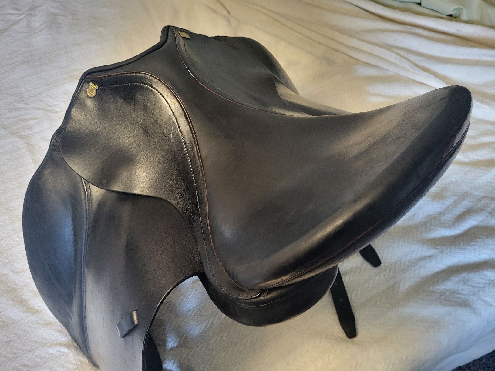 Selle & Accessori: dressursattel kurz 18" massimo – Usato da Zuzwil SG venduto da TSGWEAL1 7