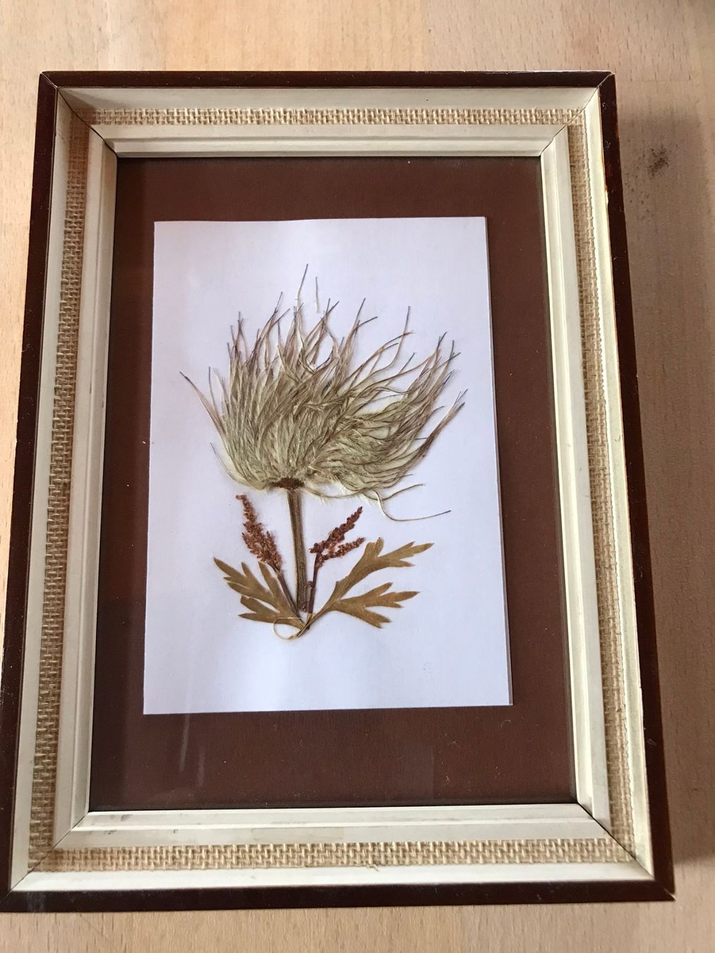 Foto & Immagini: 3 Bilder gepresste Blumen – Usato da Ottikon venduto da mindfuel