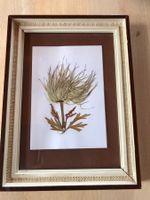 3 Bilder gepresste Blumen