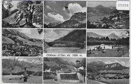 Chateau-d'Oex - Multiview mit Bahn