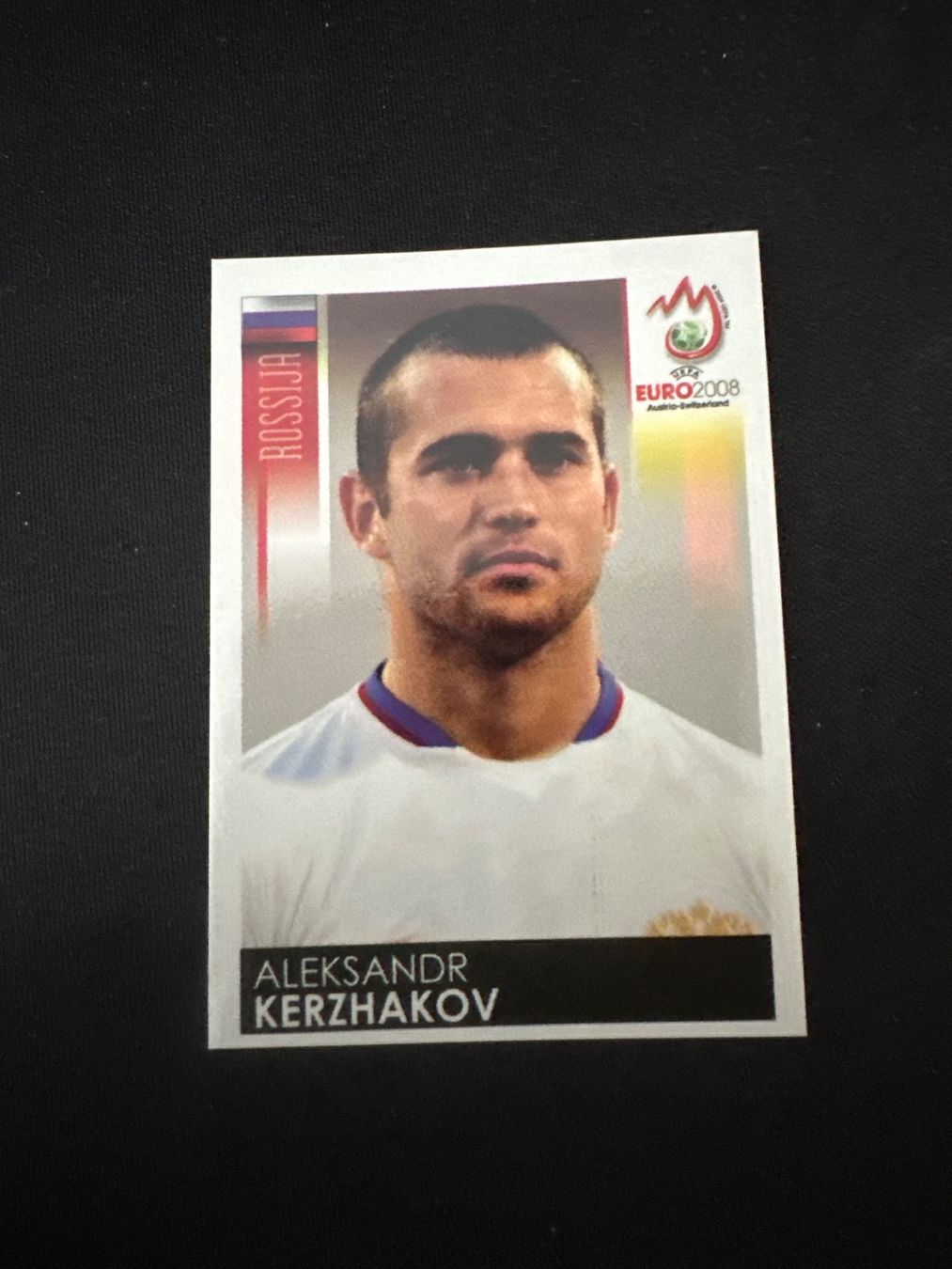 Panini Carte collezionabili: Panini UEFA EM 2008 Sticker - Nr. 458 – Usato da Sulz AG venduto da DealWerk