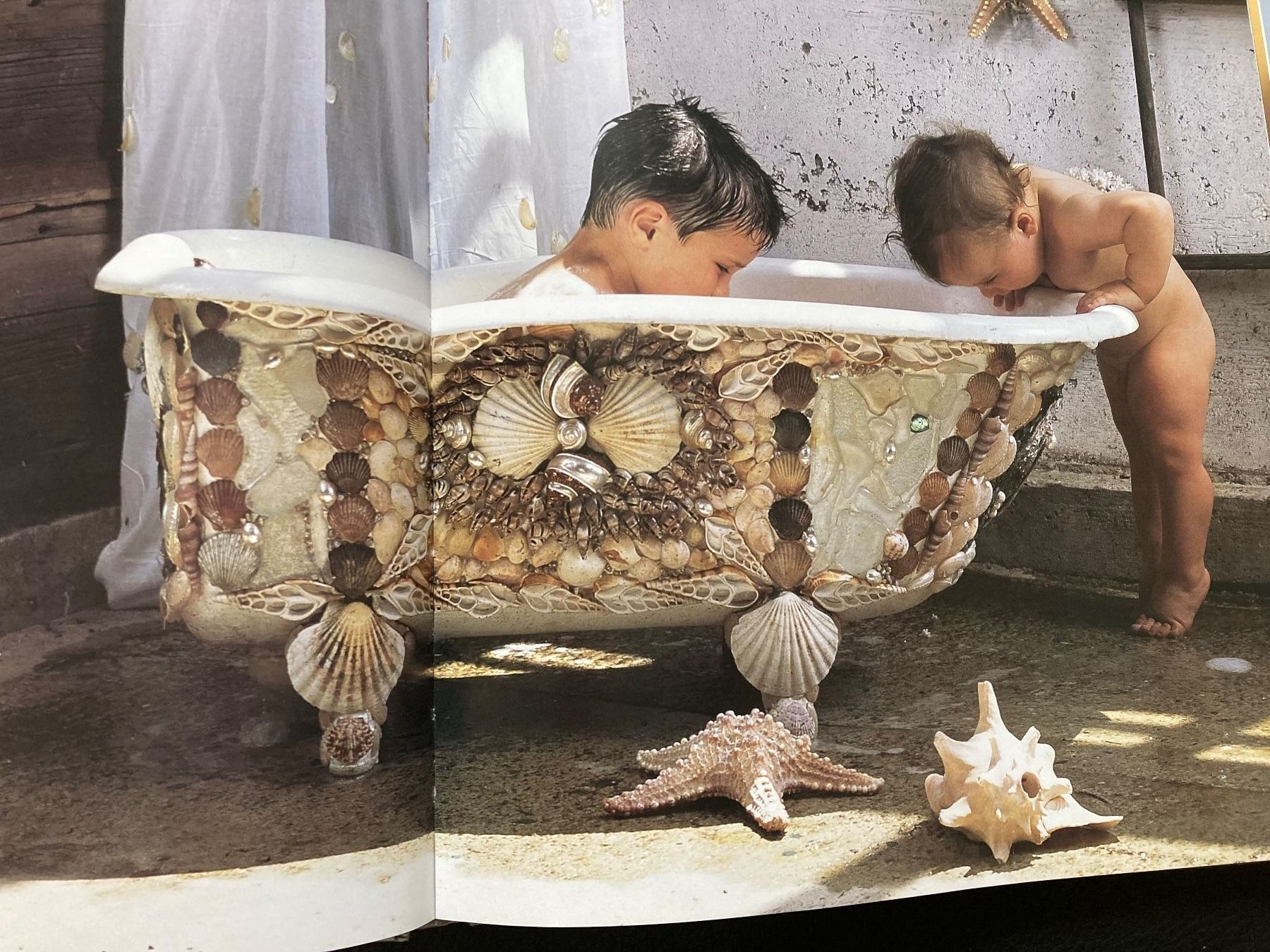 Libri: Shell Chic: Ultimate Guide to Decorating Your Home w. Shells – Usato da Zürich venduto da kostbares 6
