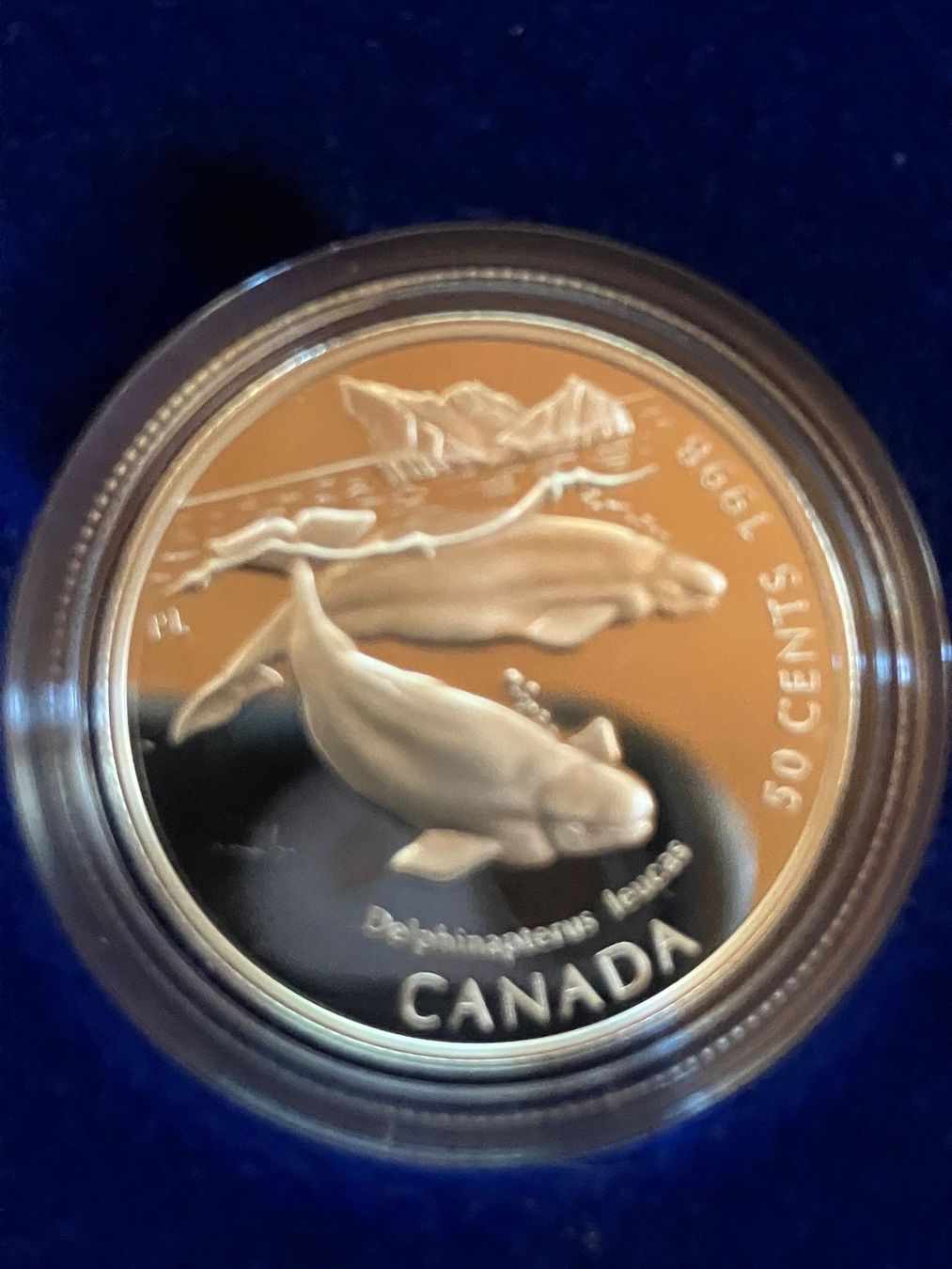 Tutti le monete: Top Münzlot  /  4  x  Silberdollars 1998 – Usato da untervaz venduto da Wingert 2