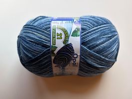 1Knäuel Opal Sockenwolle