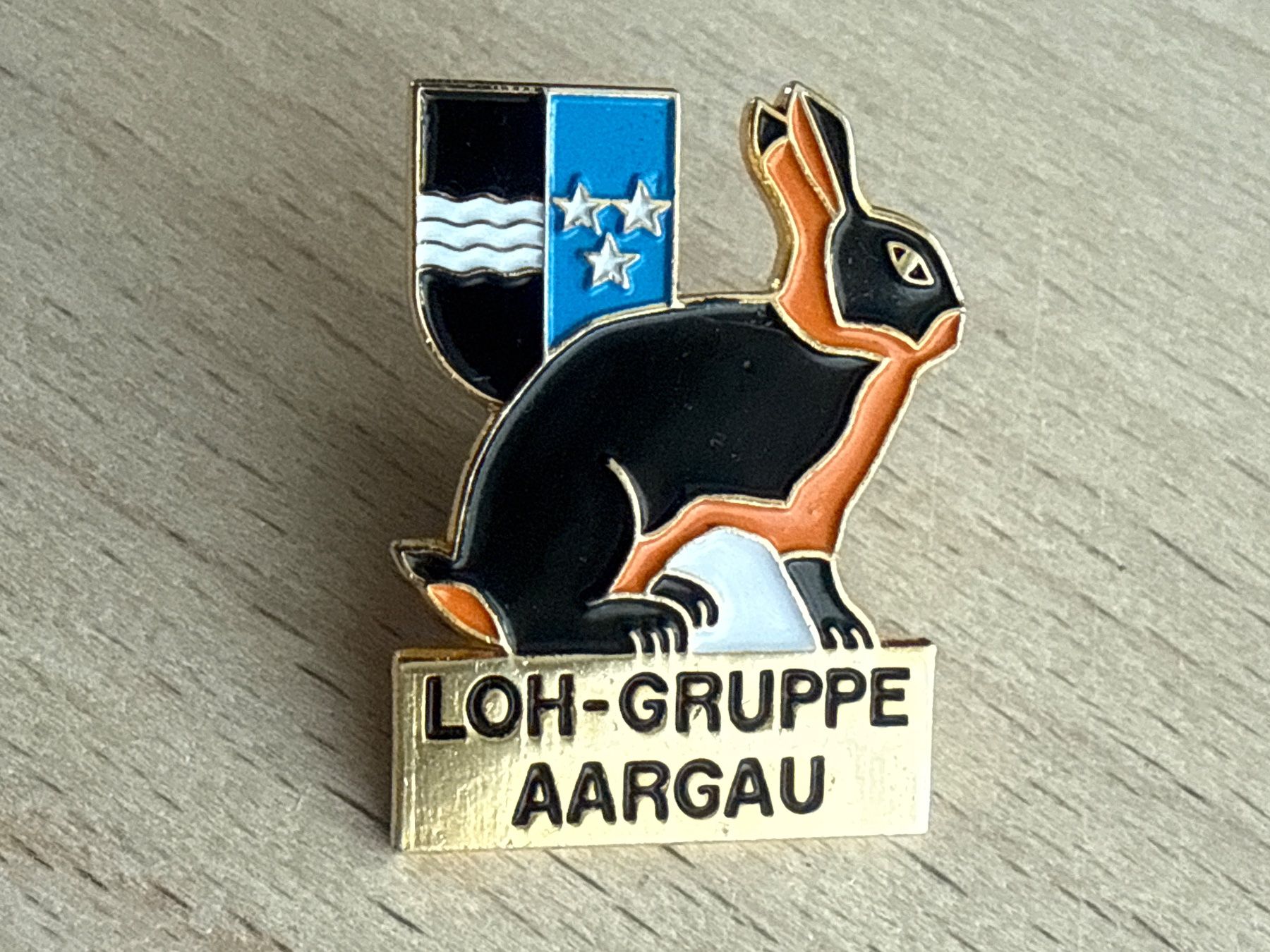 Placchette & Badge: Pin LOH-Gruppe Aargau – Usato da Glattbrugg venduto da Schweigmatt