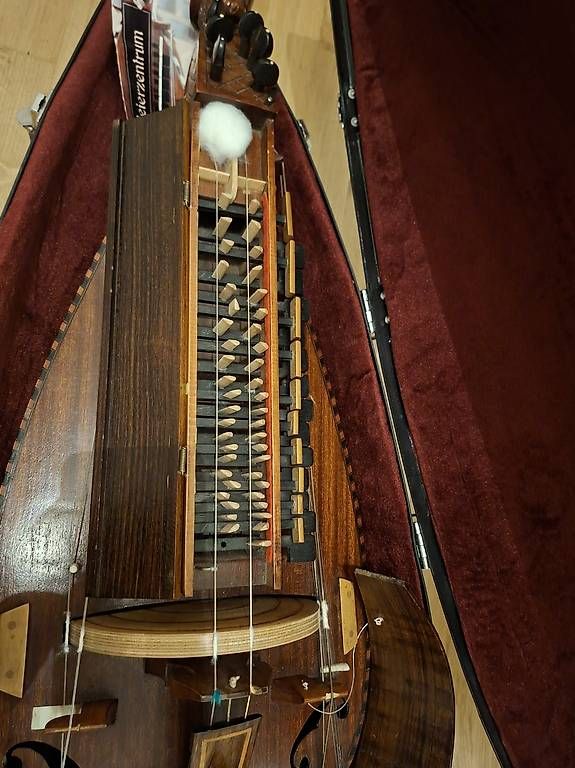 Musikinstrumente: Drehleier – Gebraucht aus Emmenbrücke von chr_6rbw 1