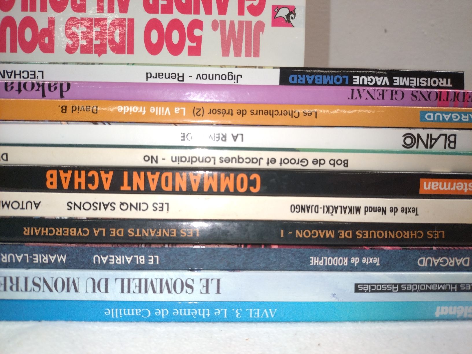 Fumetti: Lot de 12 BD diverses et variées – Usato da Farvagny-le-Grand venduto da LaCaverne 1