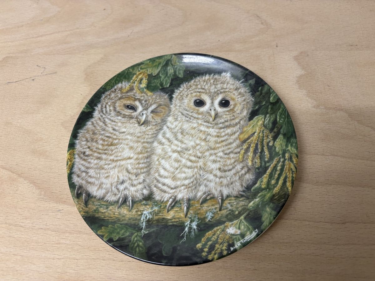Assiettes: Teller – D'occasion à Winterthur par ral_tr8b