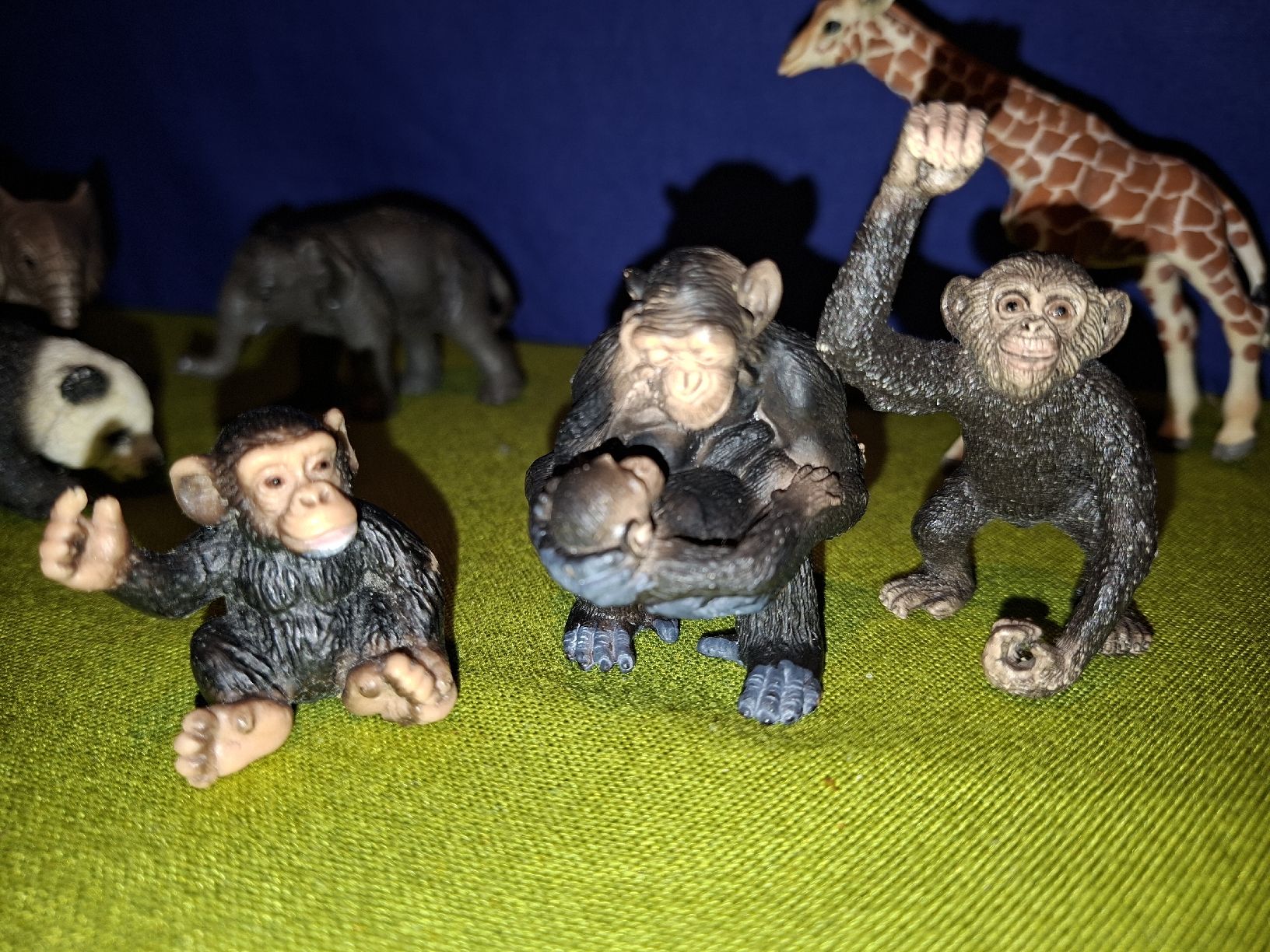 Schleich Jouets: Schleich Wildtiere H109 – D'occasion à Aarberg par Fink010 2