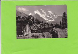 6229 Bei Wengen, die Jungfrau