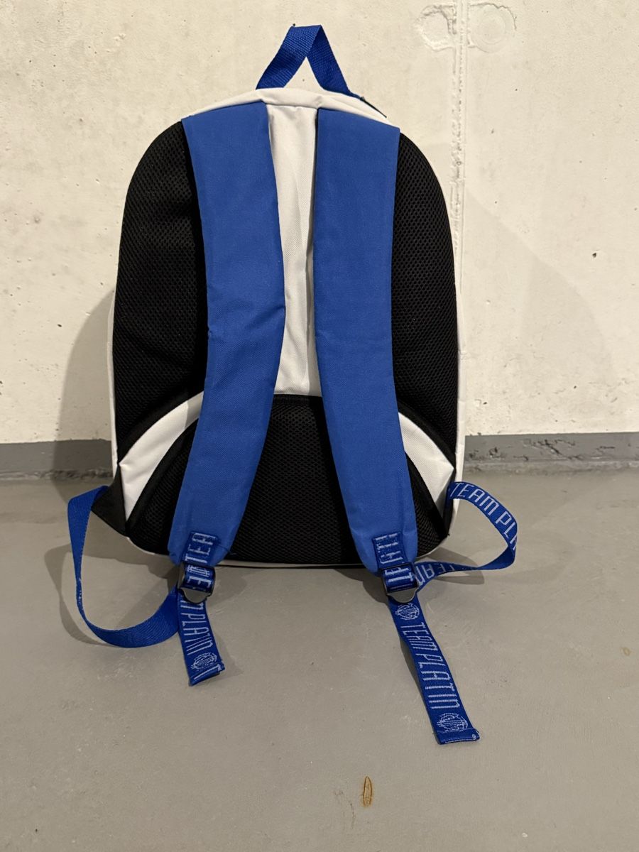 Zaini: Trendiger Team Platin Rucksack, neuwertig – Nuovo (secondo la descrizione) da Kreuzlingen venduto da Fernando1899 1