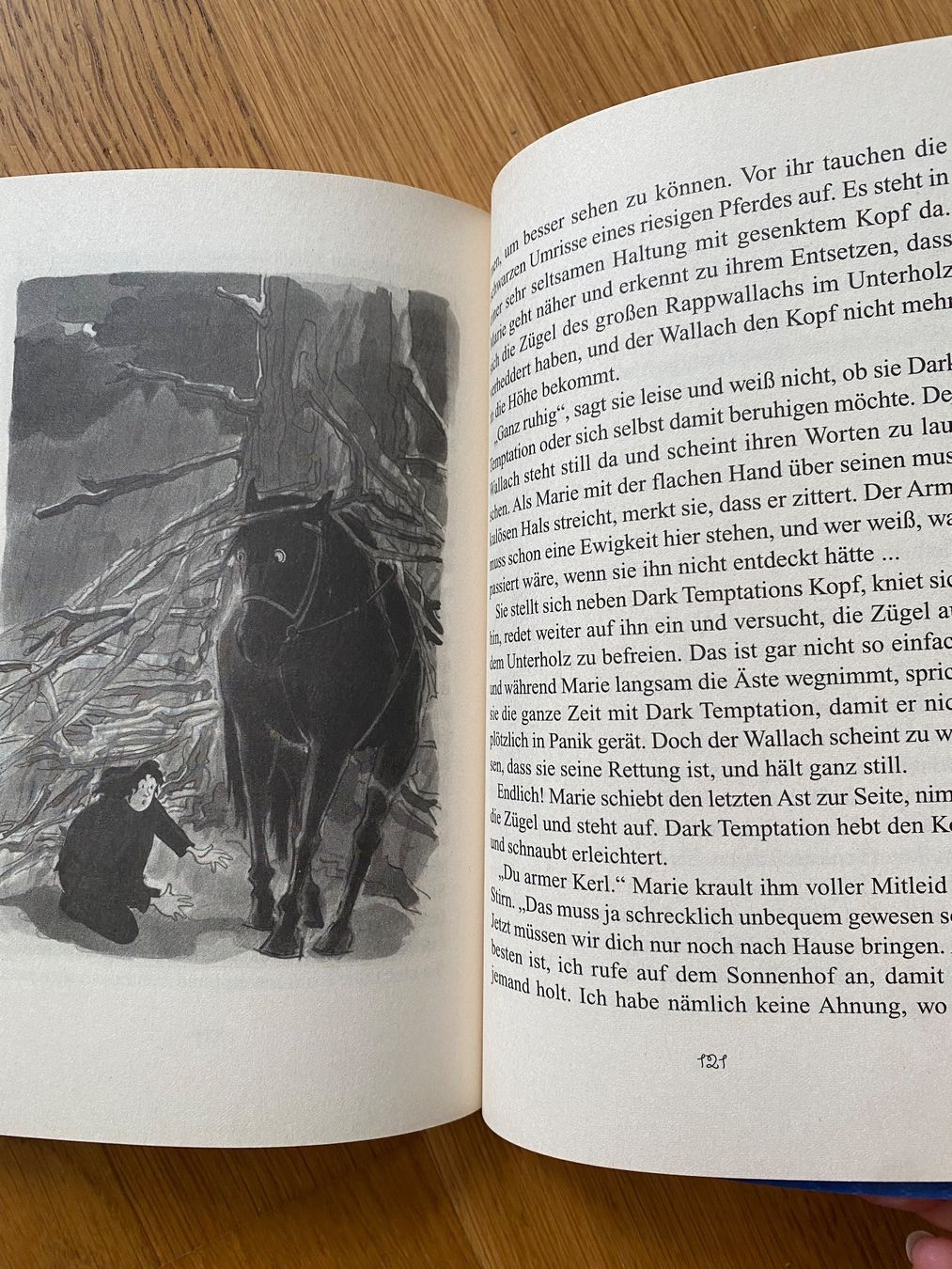 Libri: Buch "Ferien auf dem Sonnenhof" – Nuovo (secondo la descrizione) da Riedholz venduto da lenibeni03 4