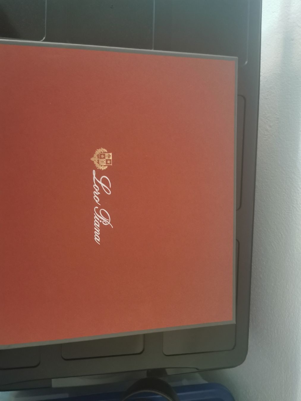 Loro Piana Foulard & Sciarpe: loro piana schal damen – Nuovo e nell'imballaggio originale da Lachen SZ venduto da Claptrap30