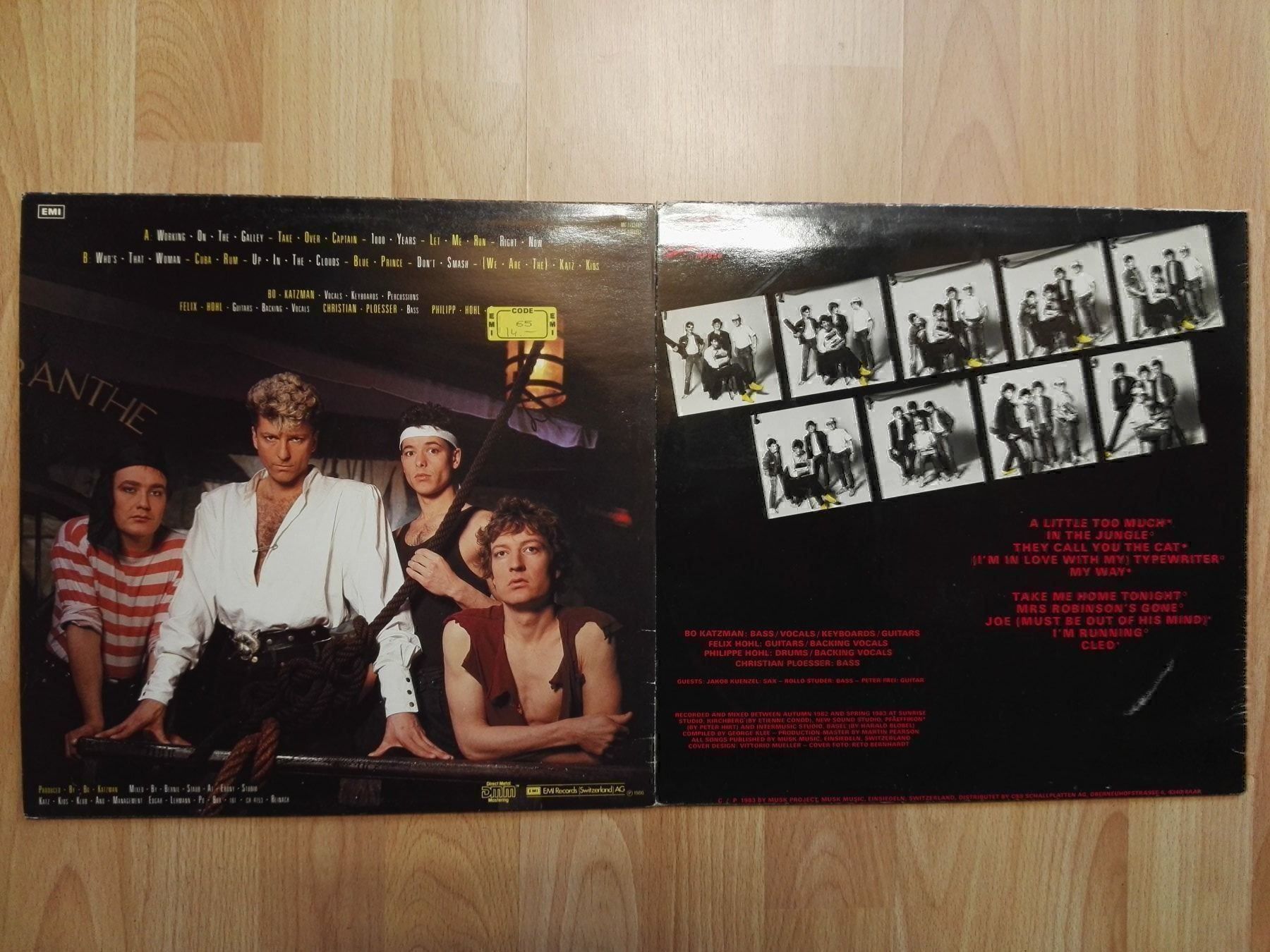 Dischi in vinile: Bo Katzman Gang – Usato da Geroldswil venduto da Dirici 1