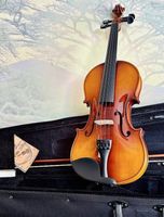Neue 4/4-Geige Violine – Komplettset!