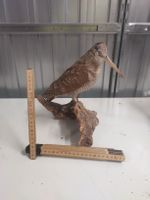 Waldschnepfe, Vogel auf Wurzel, präpariert, Deko!