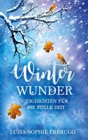 Winterwunder- Geschichten für die stille Zeit
