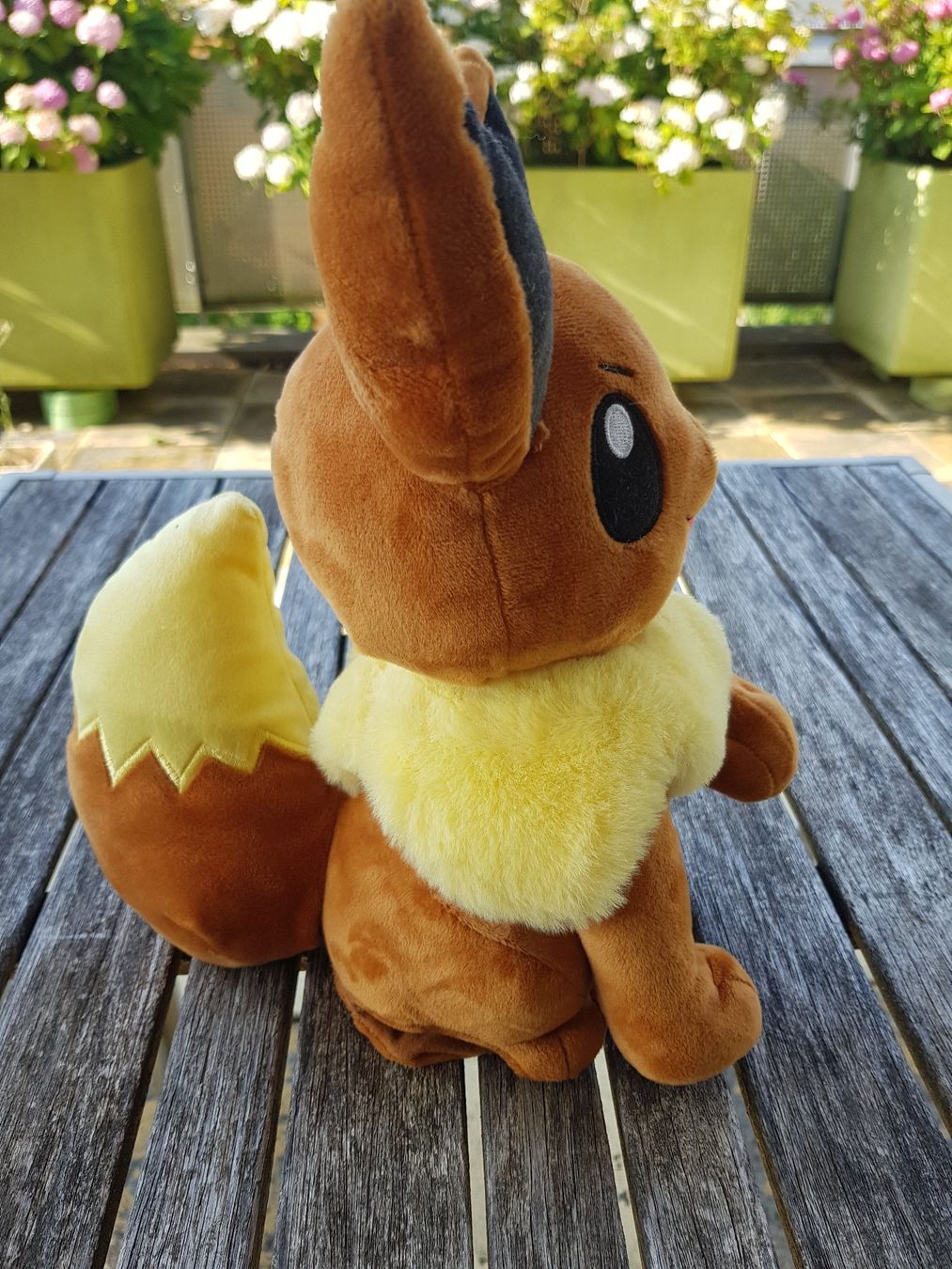 Pokémon Spielzeuge: Plüschfigur Evoli – Gebraucht aus Jona von dampfnuggi 1