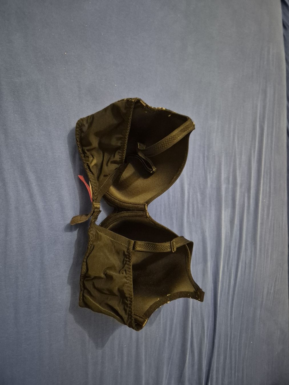 Altra biancheria intima: BH 80 E Prima Donna – Usato da Würenlingen venduto da kuh33 1
