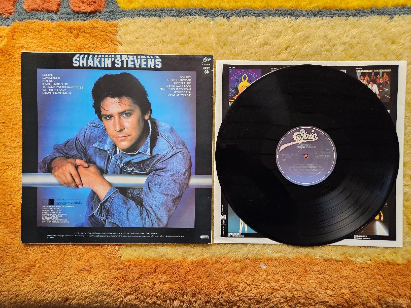Dischi in vinile: Shakin' Stevens Schallplatte Lp - Hot Dog – Nuovo (secondo la descrizione) da Lyss venduto da Alexine 1