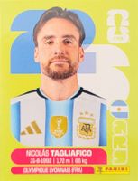Panini FIFA World Cup ARG 6