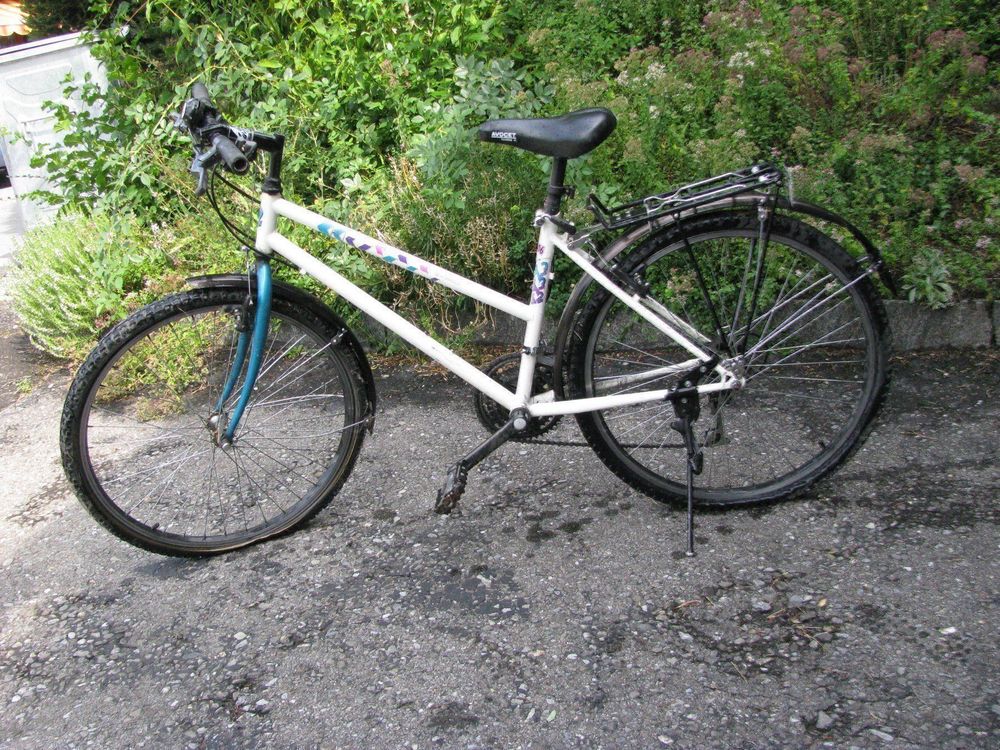 auto fahrradanhänger für e bike Mottez A144V4ELEC Schabrackenaufbewahrung Option:Mit Batterie Kt Lcd8h 5-pin Electric