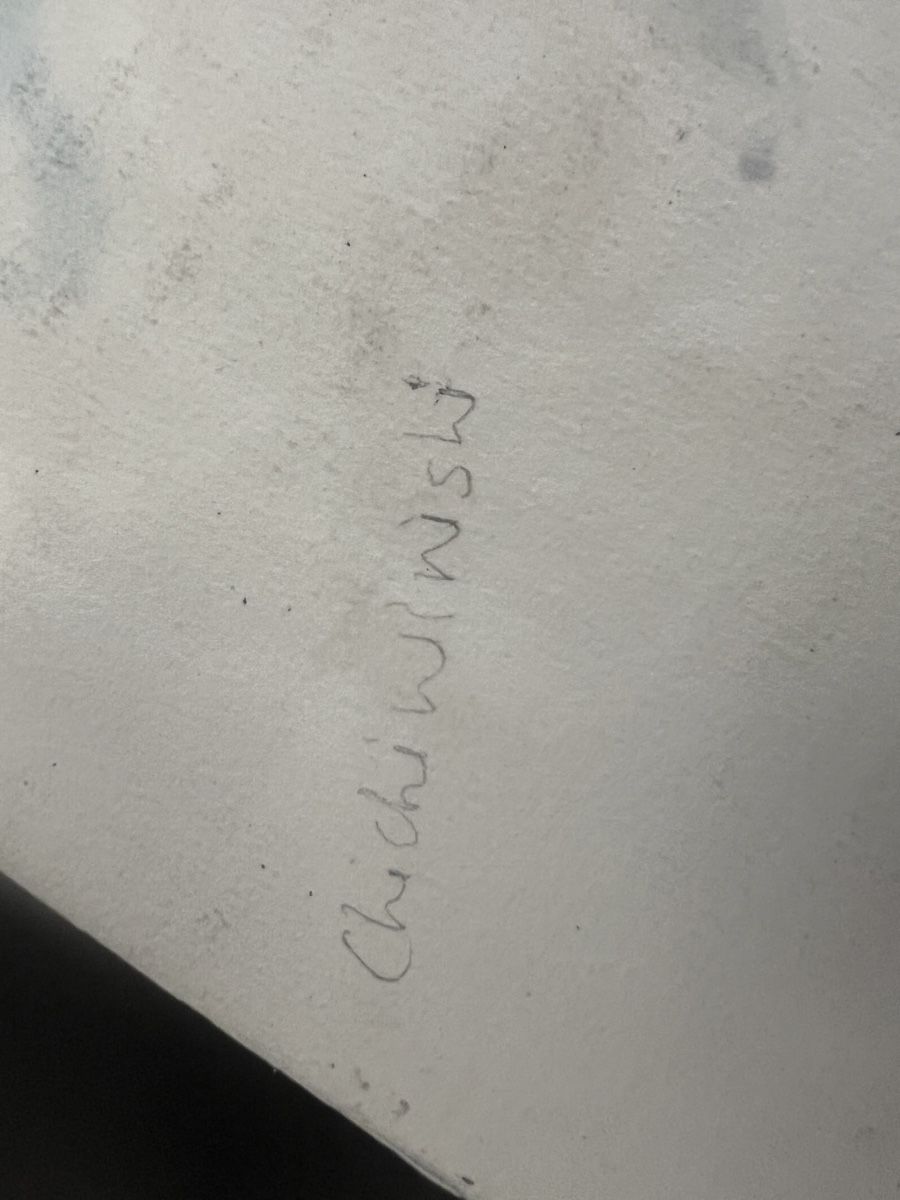 Dipinti: Dessin signé – Usato da Genève venduto da Qanil77 8