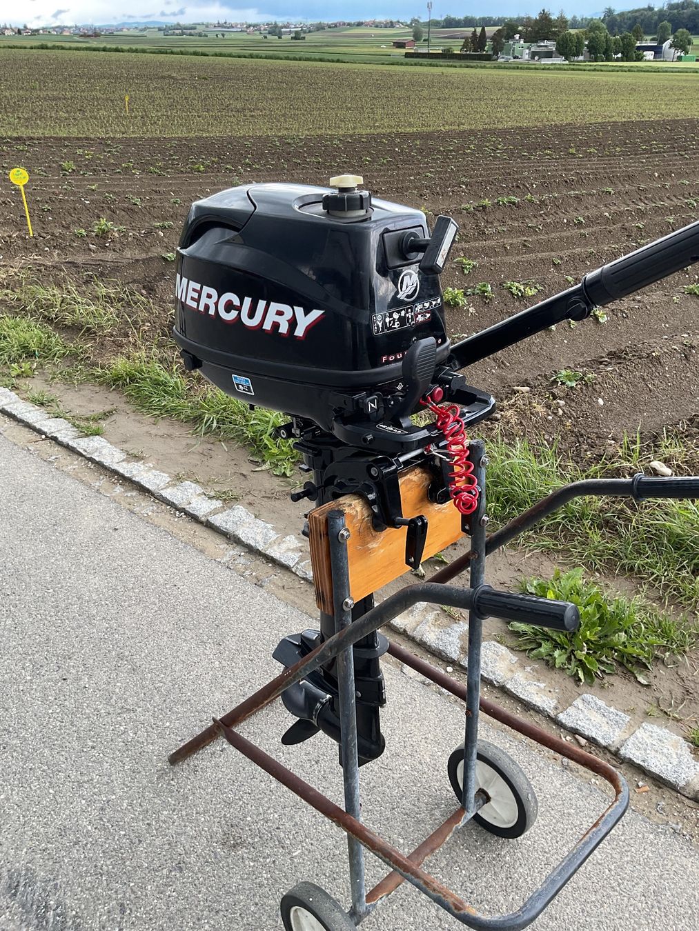 Mercury Motori: Aussenbordmotor Mercury F6M – Usato da Hagneck venduto da Kobogero 5