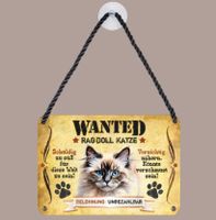 🐱 RAGDOLL Katzen Blechschild mit Kordel 🎀 11x16cm OVP🔥