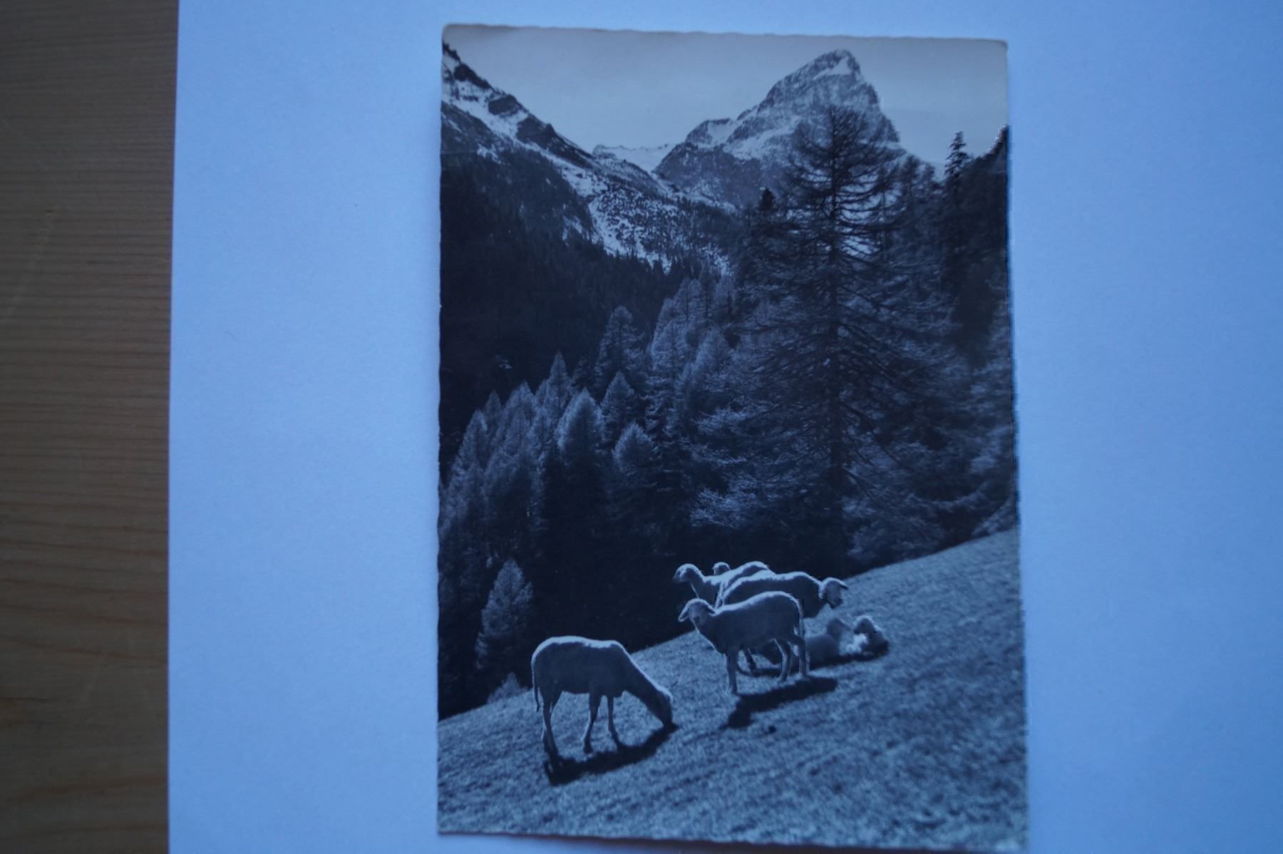 Cartoline postali: Val Faller bei Mulegns / Mühlen - Oberhalbstein – Nuovo (secondo la descrizione) da Scheid venduto da dirauls