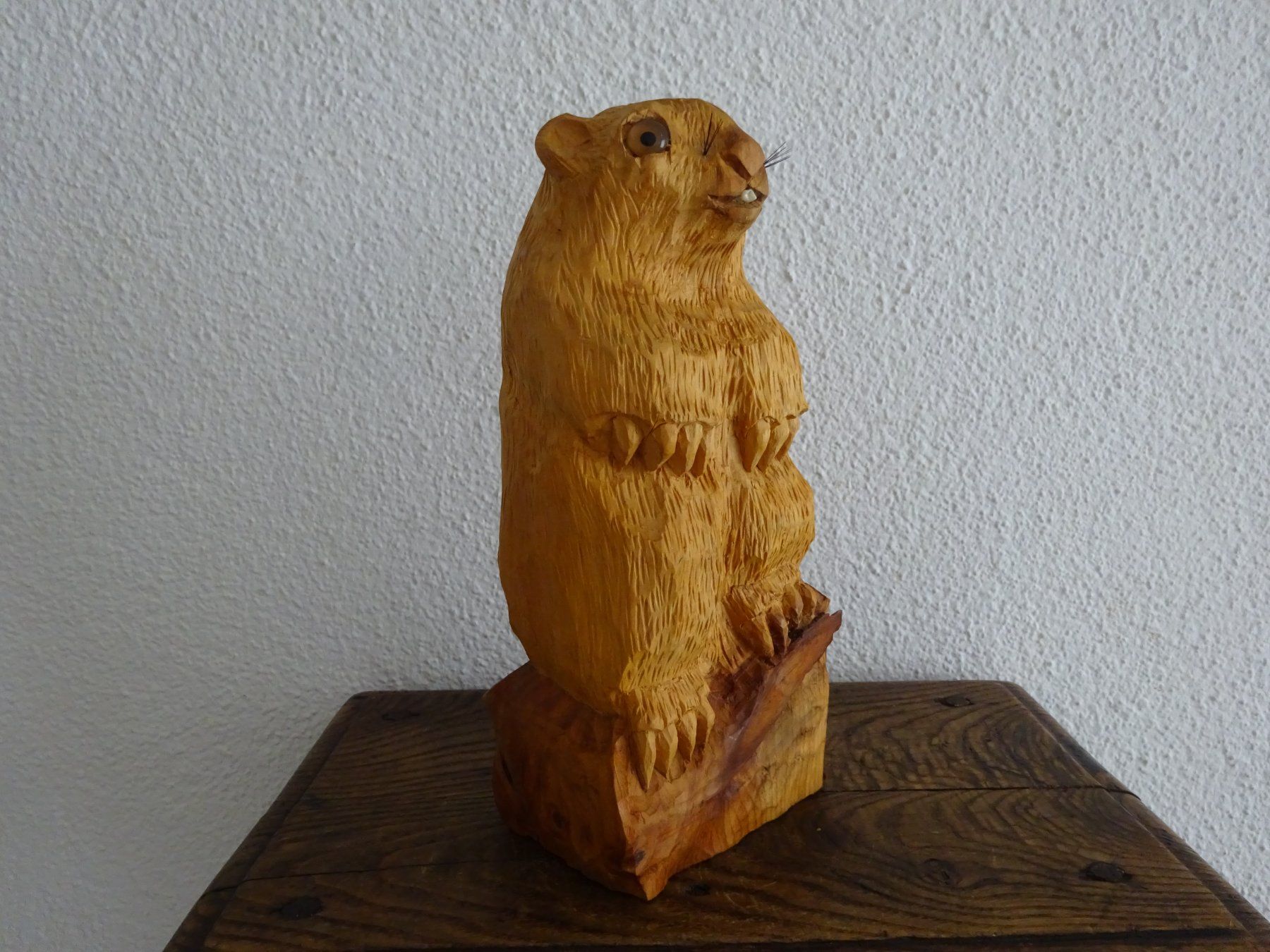Sculture & Statue: Murmeltier Phil / Pennsylvania – Usato da Esslingen venduto da eintagammeer 1