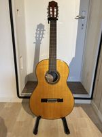 Gitarre Yamaha CG131S