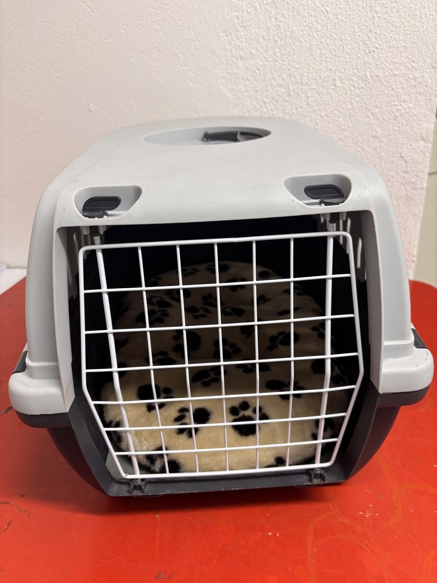 Gabbie, trasporto & Sicurezza: Transportbox Katze mit Kissen – Usato da Basel venduto da Jillcaarmen