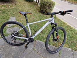Mountainbike Superior Sport XC 29 Zoll grau gebraucht