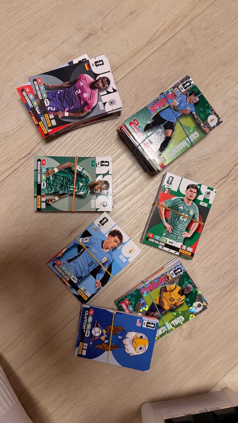 Panini Carte collezionabili: WM sammelkarten kollektion – Nuovo (secondo la descrizione) da Uznach venduto da lar_p97w