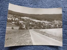 Buchs,Suhrental,Foto,Dorf,Schulhaus,Bauernhöfe,Landwirtschaf