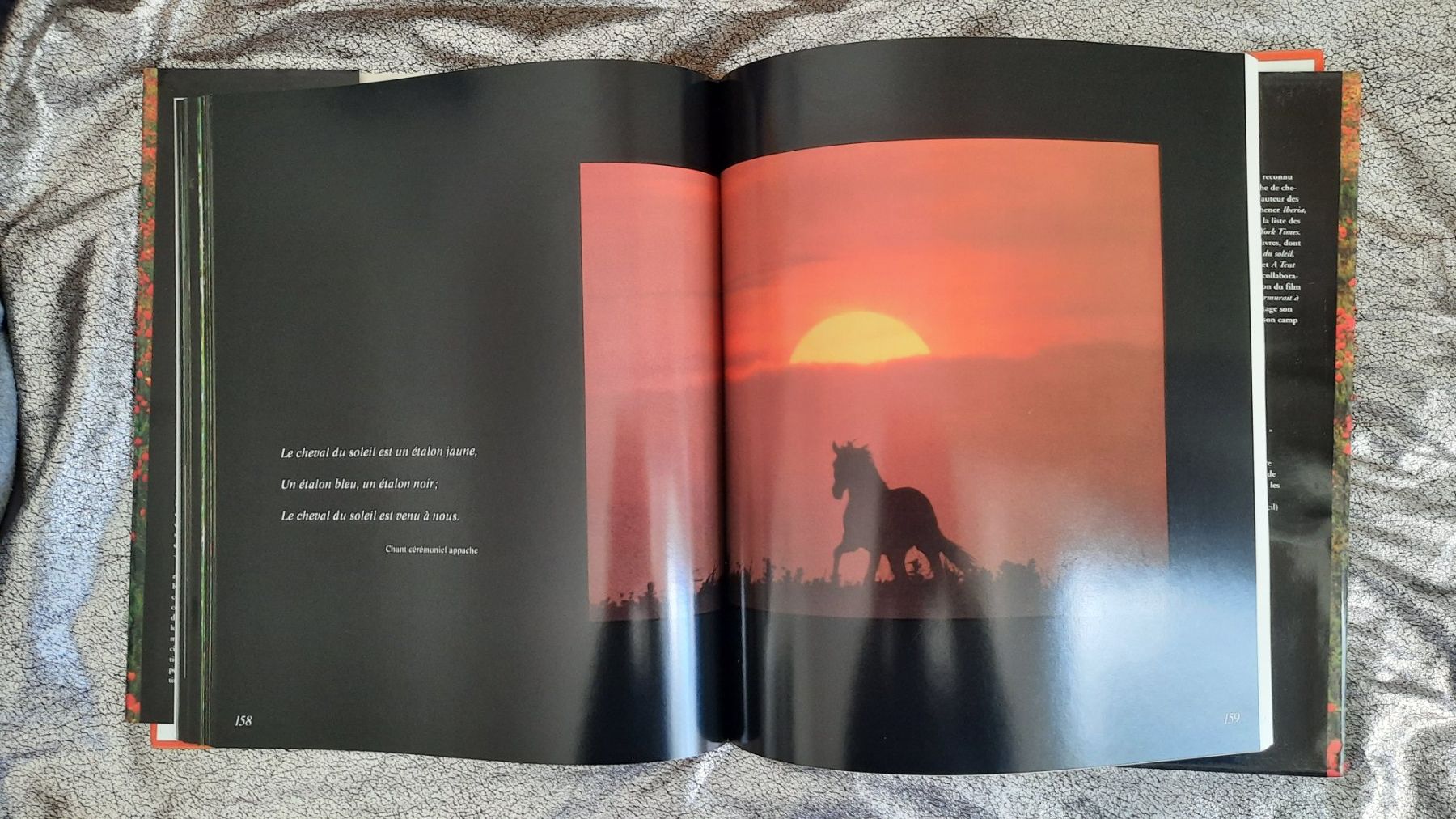 Libri: EQUUS le cheval nu - ROBERT VAVRA – Usato da Lausanne venduto da BrigitteAnne 2