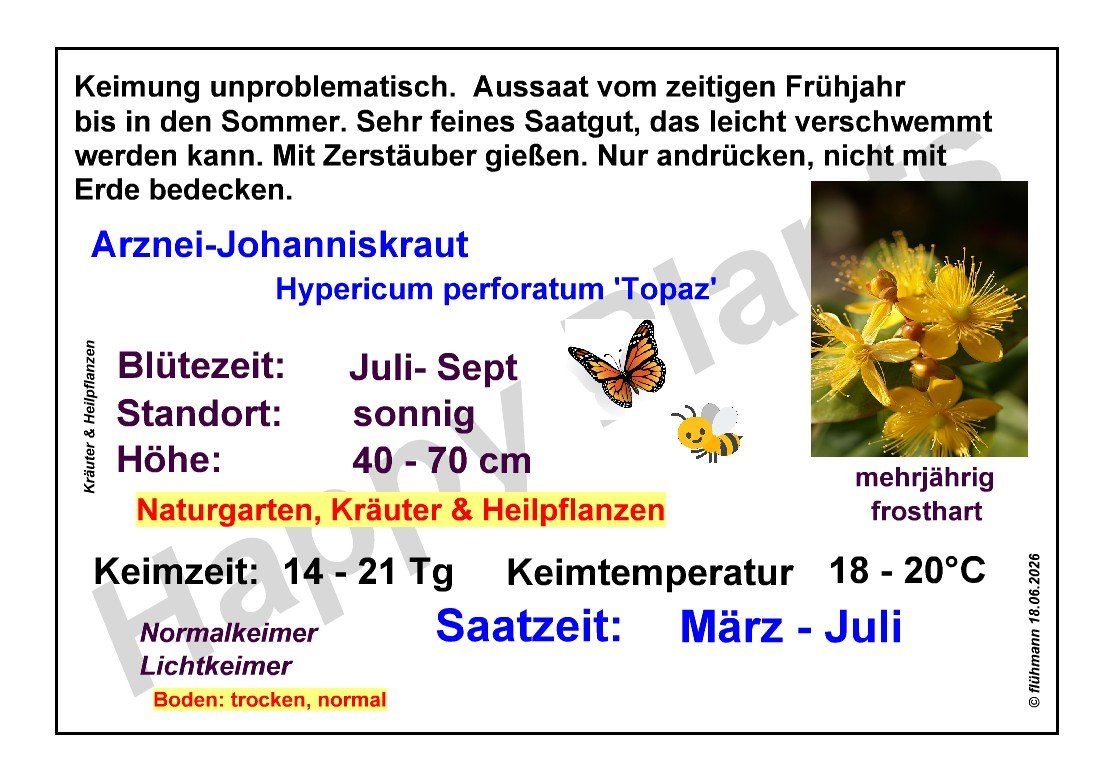 Piante & sementi: Arznei-Johanniskraut - Hypericum perforatum - 500 Samen – Nuovo e nell'imballaggio originale da Sumiswald venduto da Cham14558 4
