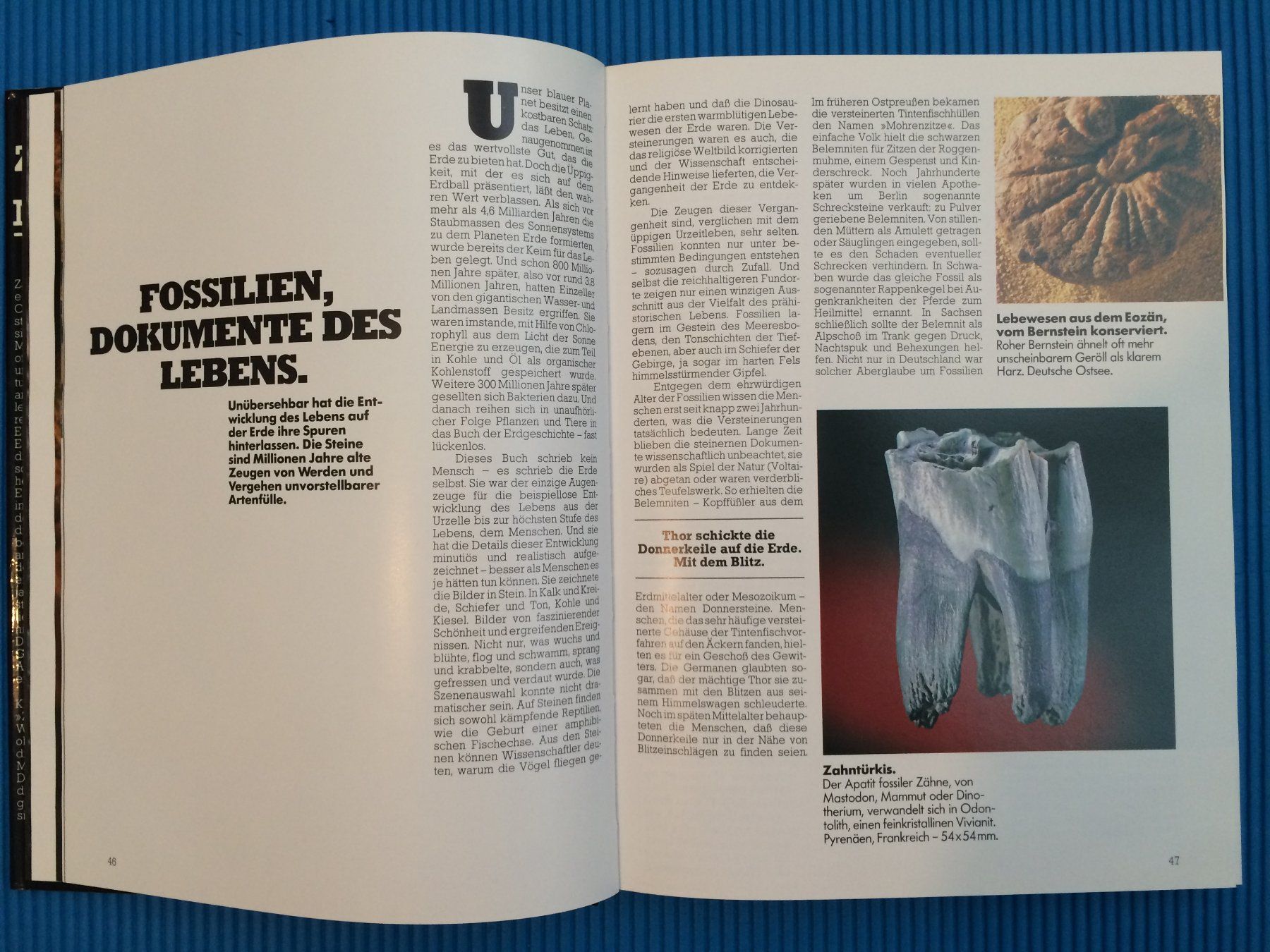 Libri: Zauber der Mineralien – Usato da Wattwil venduto da Baschi77 1