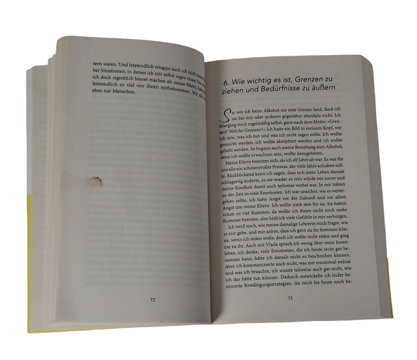 Livres: KNAUR Taschenbuch Rauschlos glücklich – D'occasion à Wil SG par Restwert_Wil 3