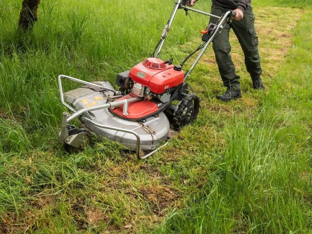 Honda Rasenmäher: Faucheuse Honda professionnelle – Gebraucht aus St. Ursen von cpi23