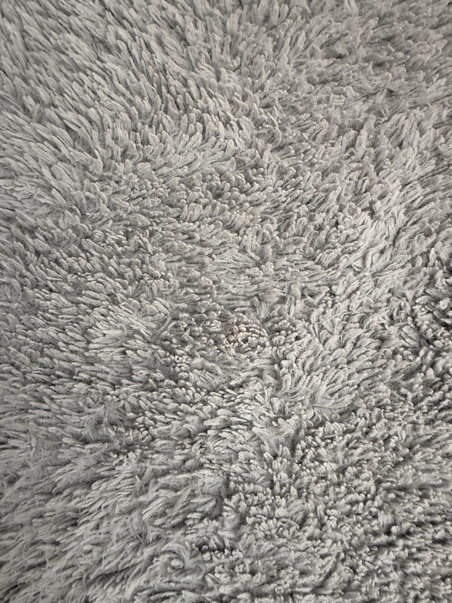 Tappeti: Teppich hellgrau 160x230 cm – Usato da Baar venduto da -fatos- 4