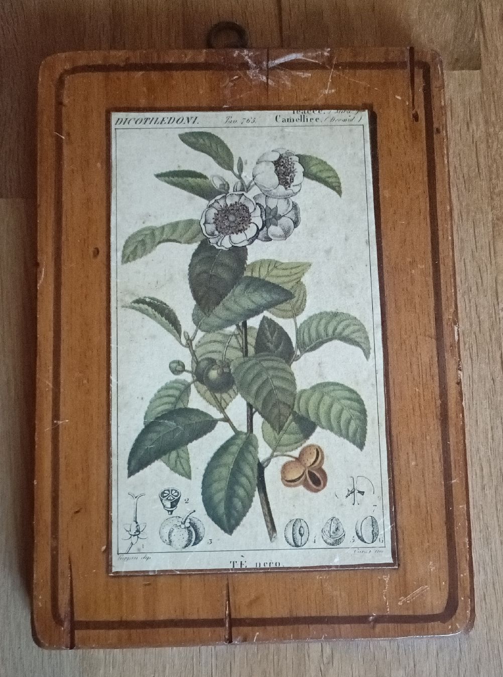 Ecriteaux: plaque en bois  – D'occasion à Glovelier par rus_jk5v