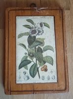 plaque en bois 